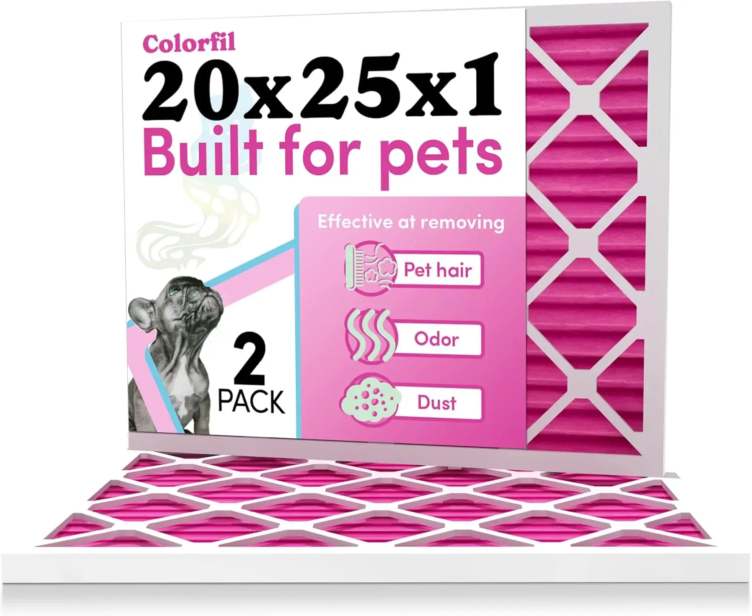 Colorful 20X25X1 Ai…