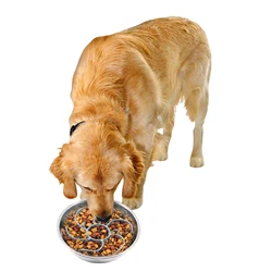 Dog Slow Feeder Spiral Insert Anti Choking Prevent Overeating Bowl Insert for Large Medium Small Breed Dogs