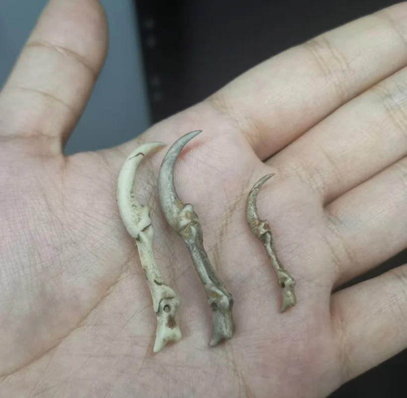 نموذج توتنهام عظم الحشرات بمقياس 1/12 لشخصية 6 بوصة