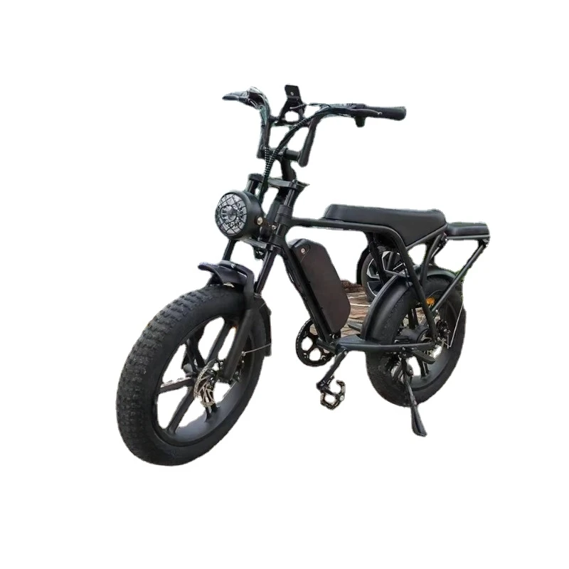 

Double Seater 250W/750W Motor Ebike Mountain Electric Motorcycle E Bike Electric Fat Electric Bicycle Big Tyre V8