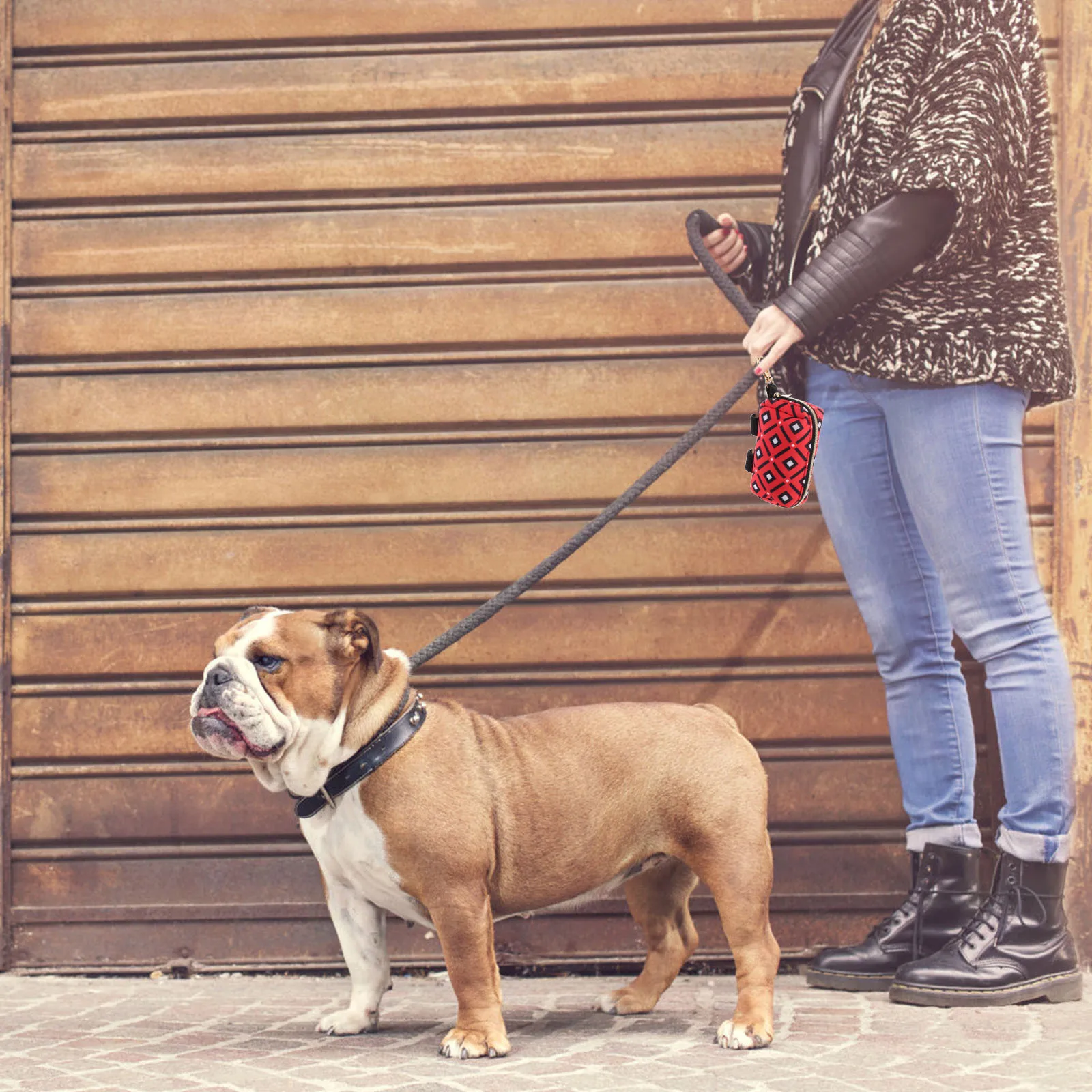 

Dog Poop Bag Holder Portable Wear-Resist Polyester Poop Bag Carrier Buckle for Leash Waist Running Outdoor Use Pet Treat Pouch