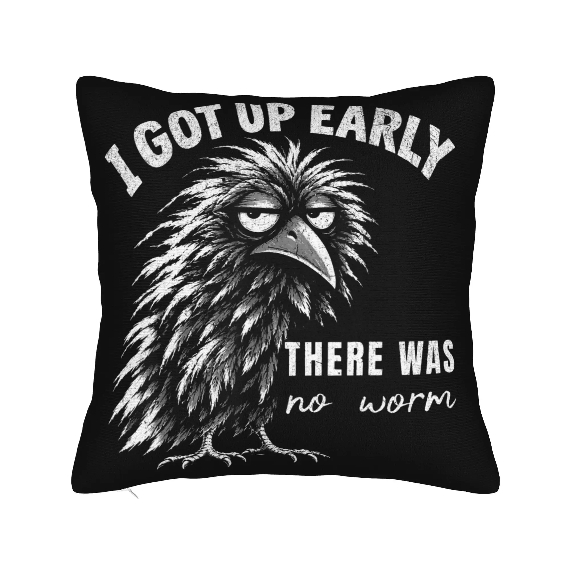 I Got Up Early There was No Worm Grumpy Raven Pillow Case  Cute Funny Pillow Cover Comfy Pillowcases For Living Room Bed Chair