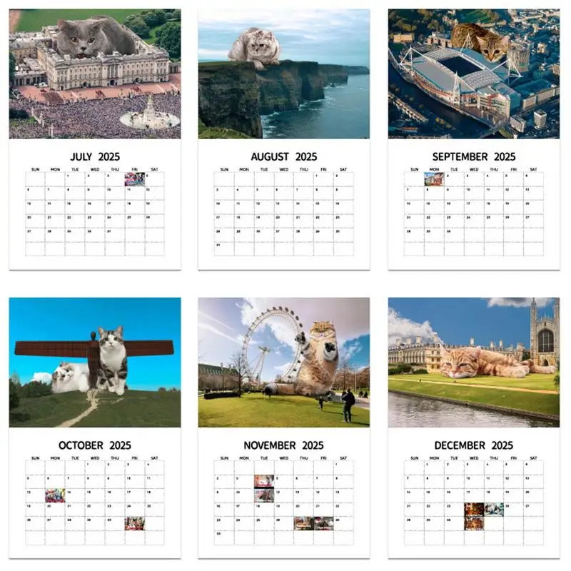 Imagem -05 - Urban Grande Cats Wall Calendar Fun Cats Wall Calendar 12 Hangings Mês Governar a Terra Family Planner Vertical 2025