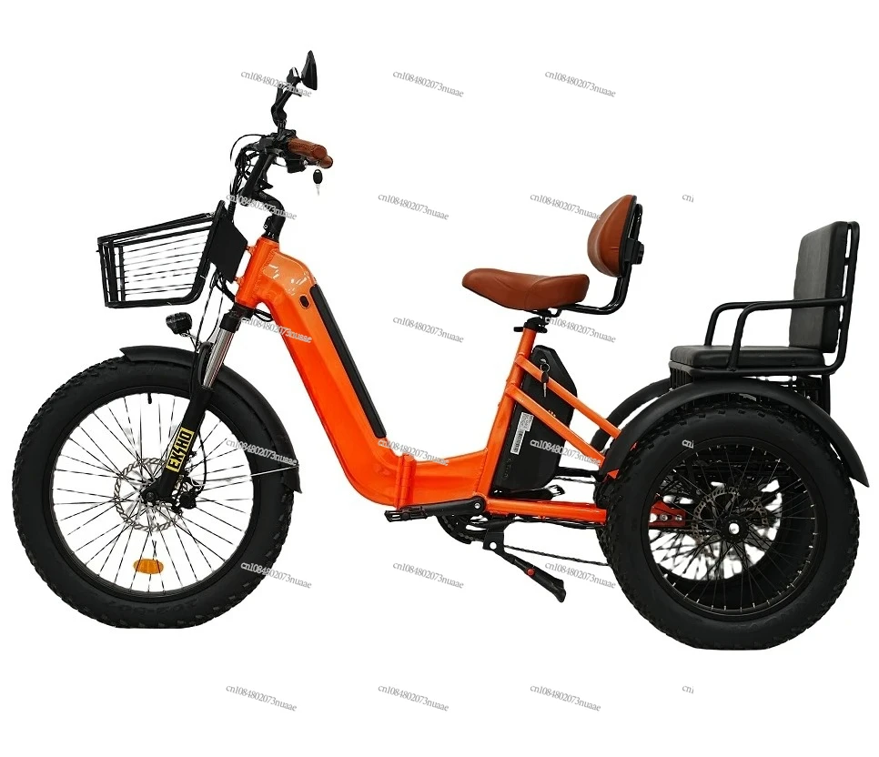 2024 Newest Hot Sell 750w 48V  Electric Tricycle Convenient and Practical Foldable 3 Wheels Electric Bikecustom