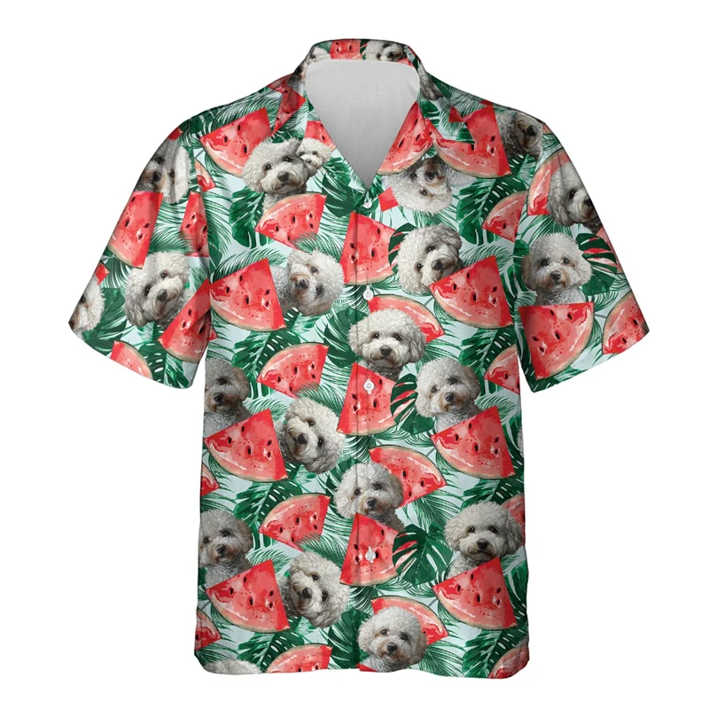 Full Printed Cute Animal Dog Beach Shirts For Men Summer Short Sleeve Pomeranian Schnauzer Graphic Hawaii Button Down Shirts