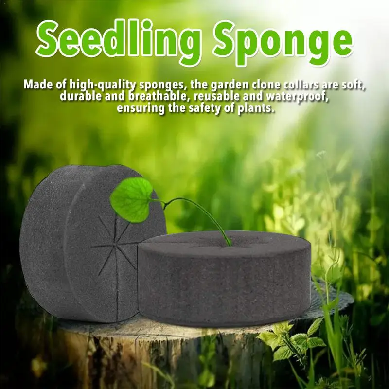 Garden Clone Collars Seedling Vegetable Planting Sponge Block Soilless Cultivation Hydroponic Planting Foam For Germination