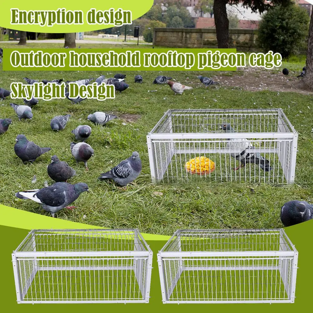 Thumbnail 4 - #6 Best Bird Cages to Buy In 2026