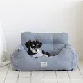 Blue Stripe