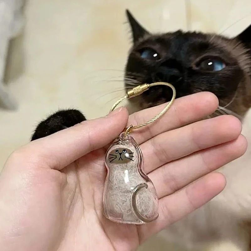 الاكريليك Cear القط شكل الحيوانات الأليفة الفراء صندوق تذكار كيرينغ ل القط الشعر تخزين كبسولة تذكارية سحر لمحبي الحيوانات الأليفة هدية المفاتيح