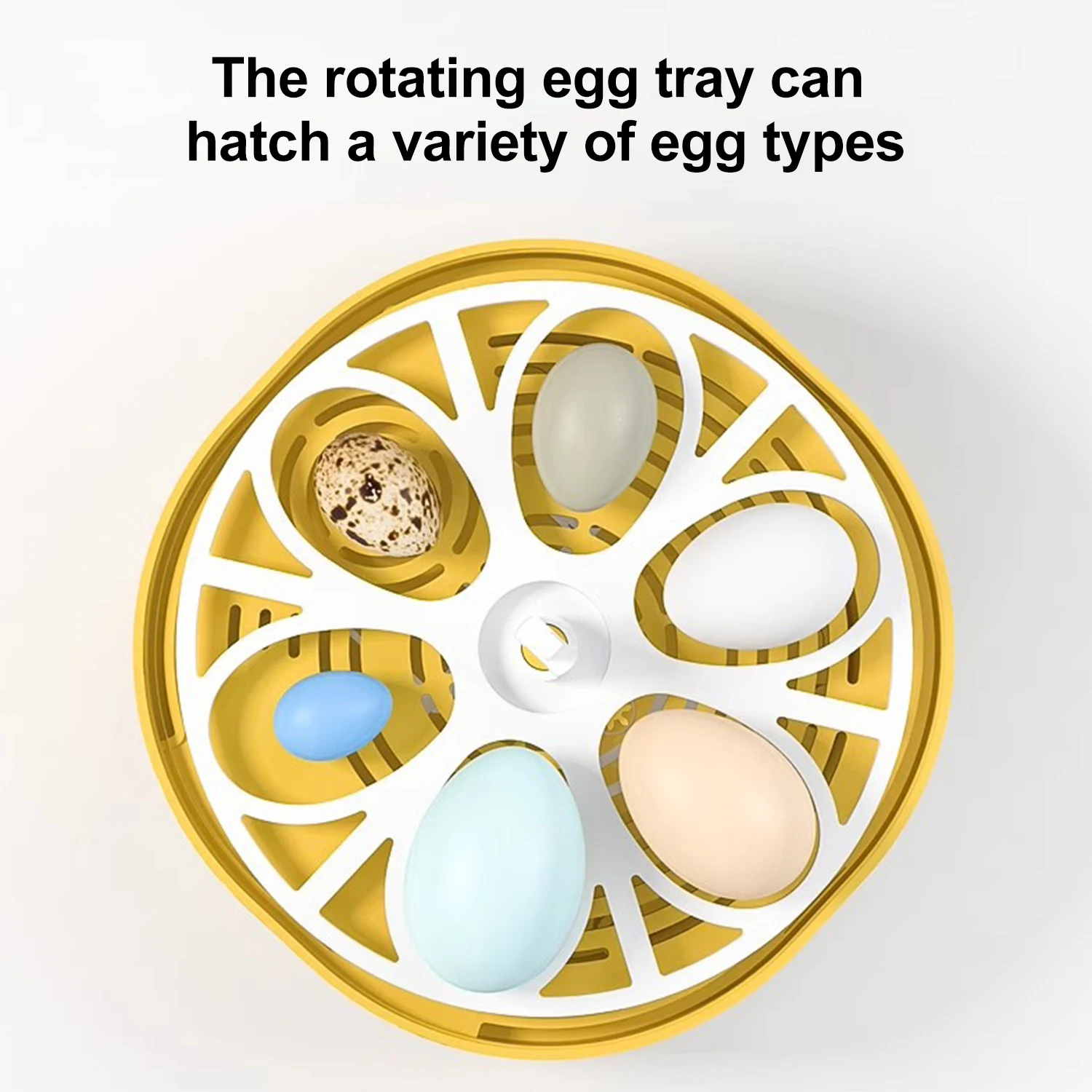 6/18 Eggs Incubator with 360 Degree Rotating Egg Tray With Automatic Water Ionic Waterbed Replenishment And Temperature Contro