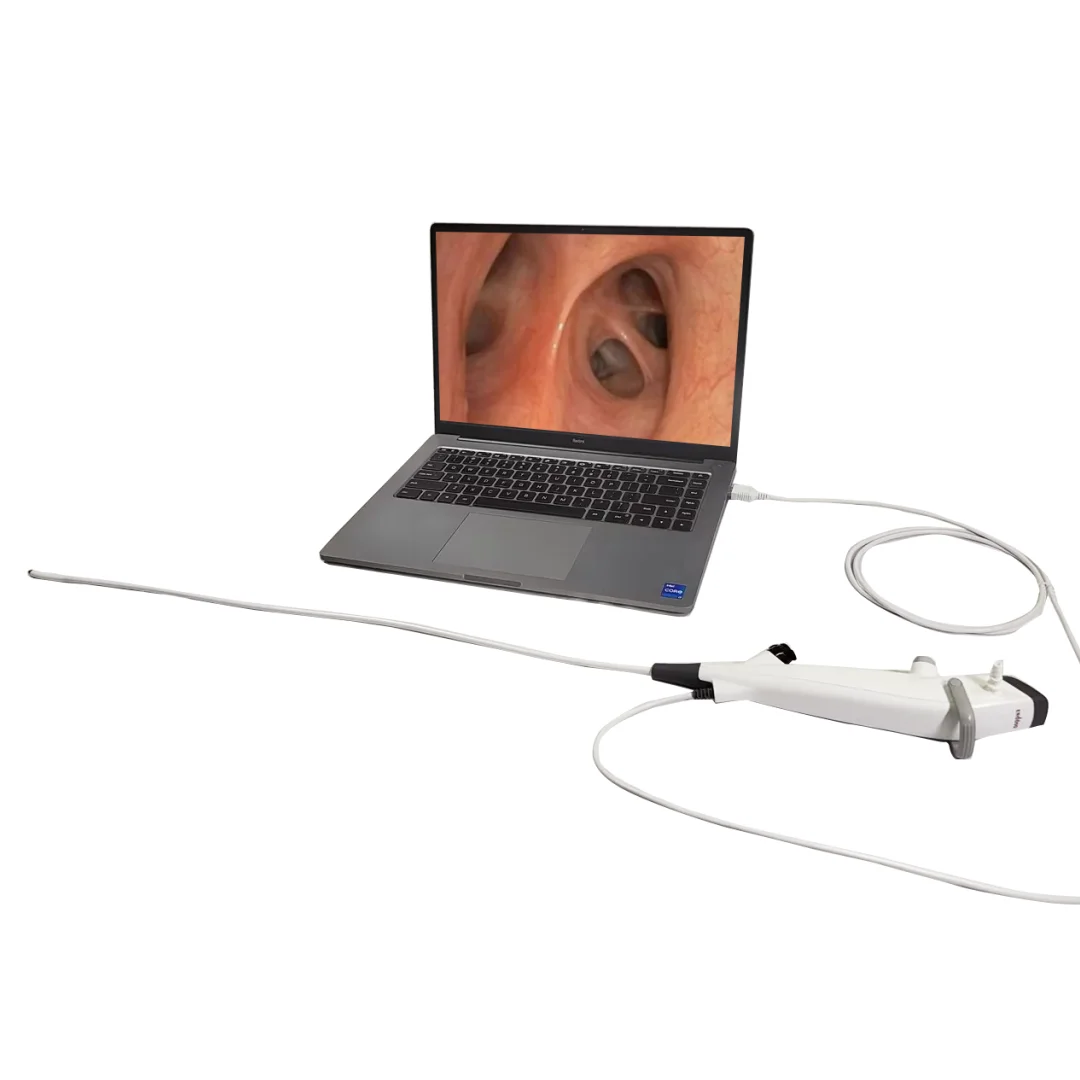 China USB 60CM Disposable Single Use Video Bronchus Bronchoscope with Working Channel LED Light for Rhinolaryngoscope