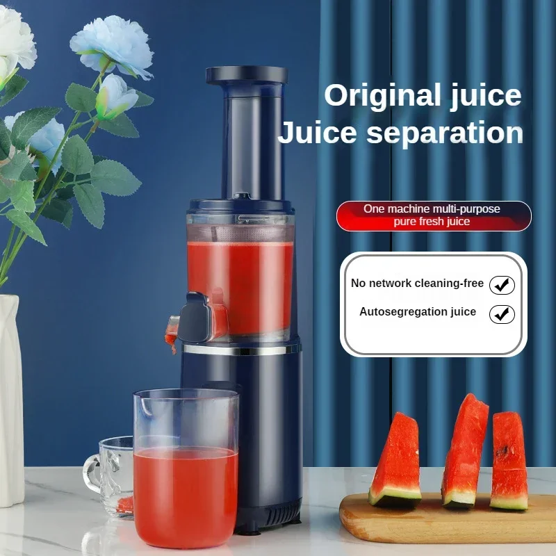 Kitchen Appliances Slow Citrus Carrot Electrical 4 In 1 Juicer Blender Orange Press Lemon Juicer Machine