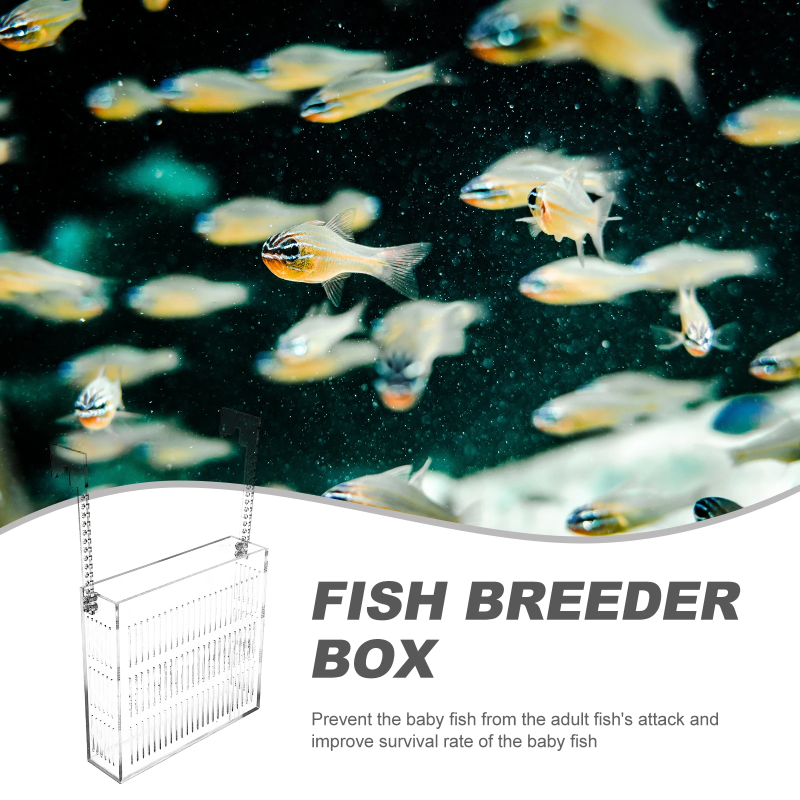 

Hanging Isolation Box Fish Aquarium Accessories Breeding Case Net Tank Mesh Lid Container In-tank Boxes Accessory Specimen Fry