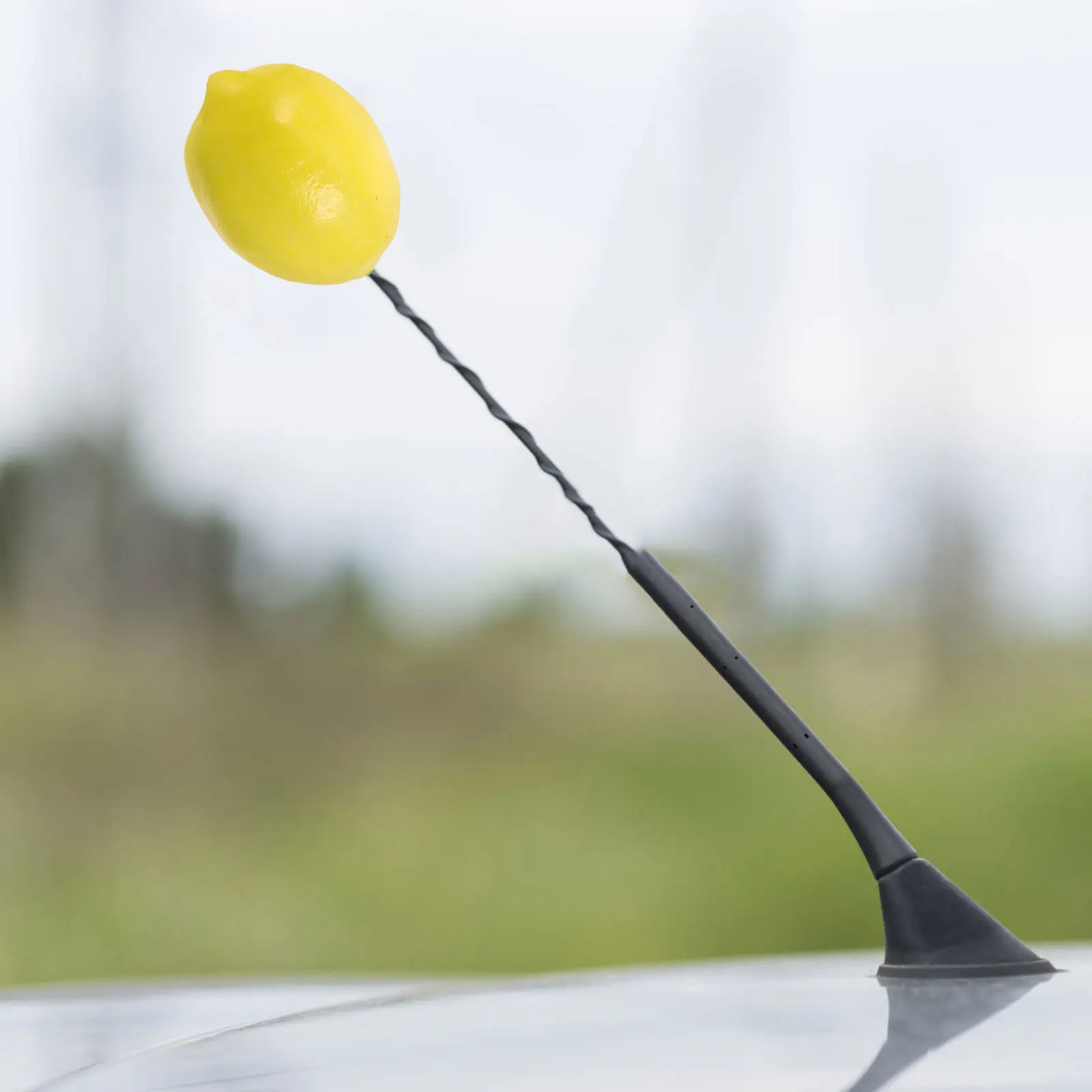 

Realistic Faux Lemon Antenna Topper Car Roof Decoration Decorative Ball Exterior Ornament Car Accessories Lemons for Decoration