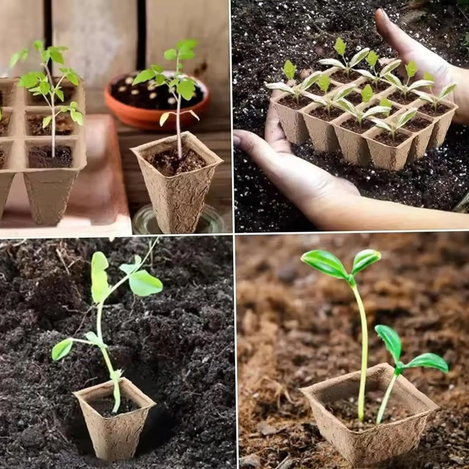 Seedling Tray 24 Pieces Square Organic Growing Starter Kit Seedling Starting Trays For Windowsill Indoor House Vegetable Flower