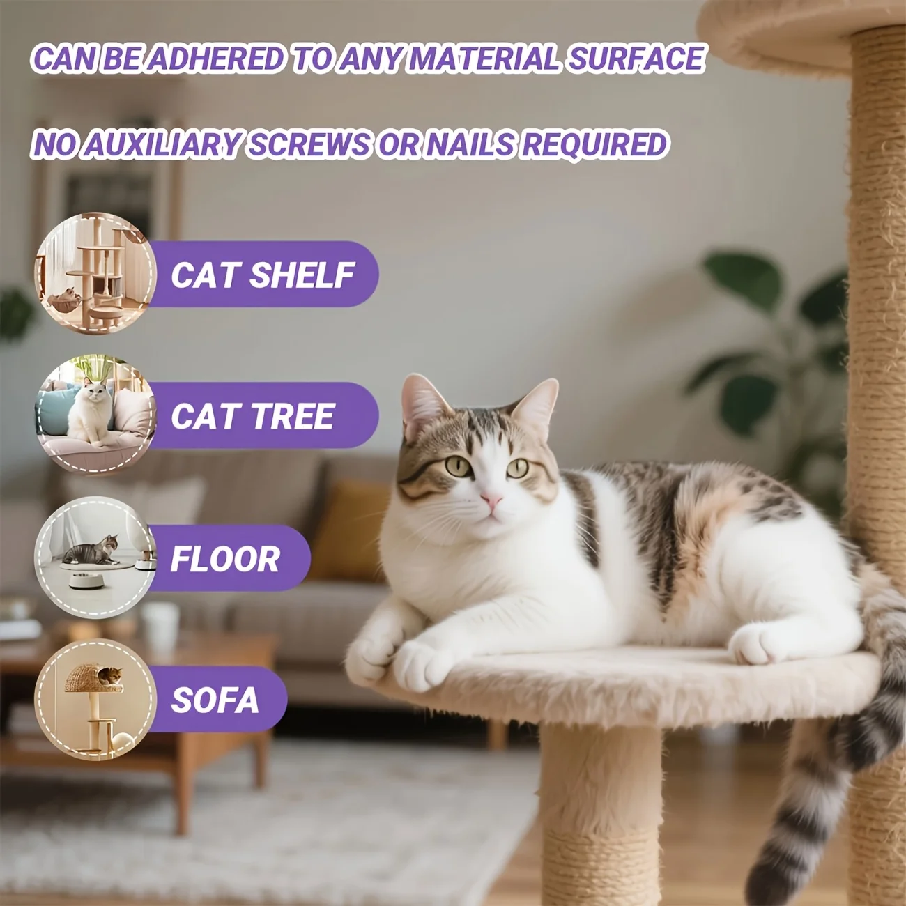 Thumbnail 3 - #51 Highest Rated Cat Doors to Buy in 2026