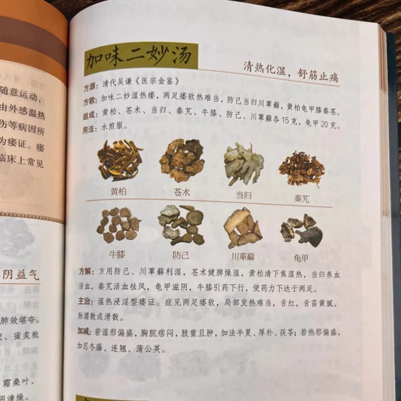 A Complete Collection of Traditional Chinese Medicine Special Prescriptions and Health Books