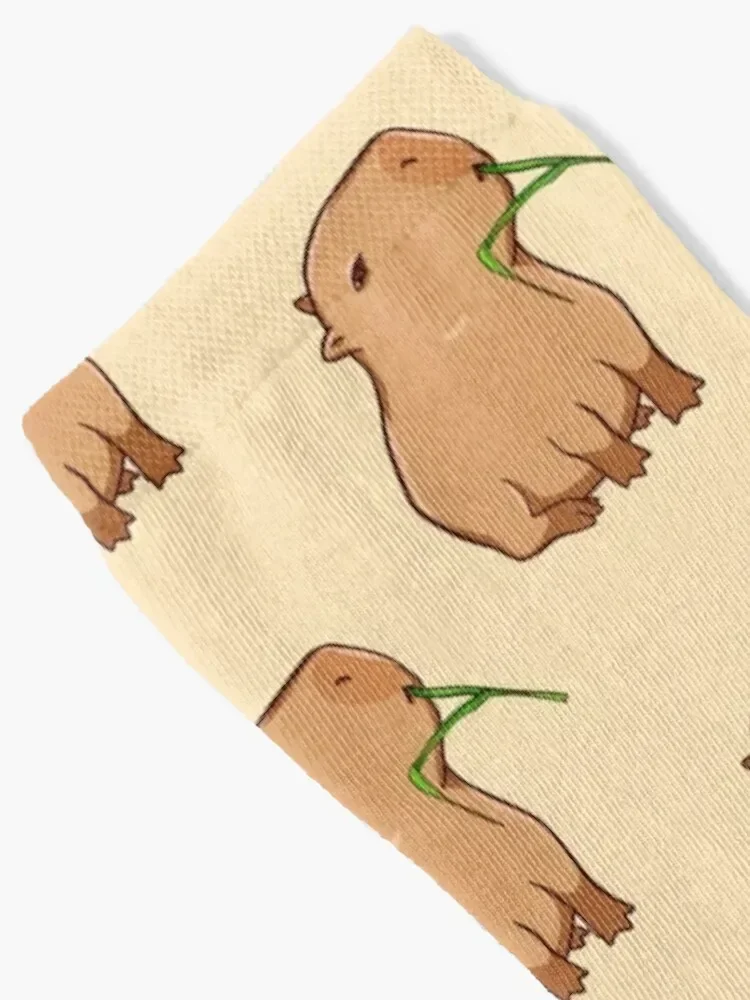 Capybara with a leaf, eat your greens! Socks set Non-slip funny gift funny gifts Socks Man Women's