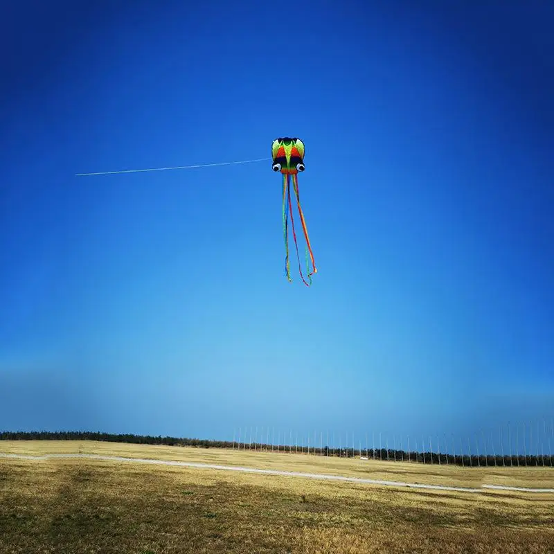 1 ensemble de cerfs-volants souples géants pour adultes, jouets d'extérieur, poulpe 3D coloré arc-en-ciel, cerf-volant géant de 4m avec ligne de pneu de 100m