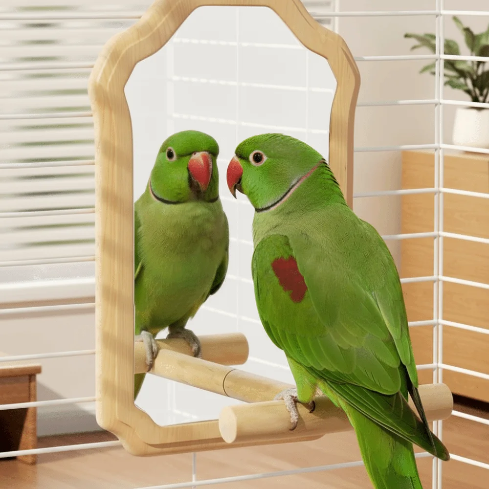 

Wear-Resisting Bird Mirror Perch Detachable Durable Interactive Bird Toy Bite-Resistance Parrot Mirror Toy Bird Perching