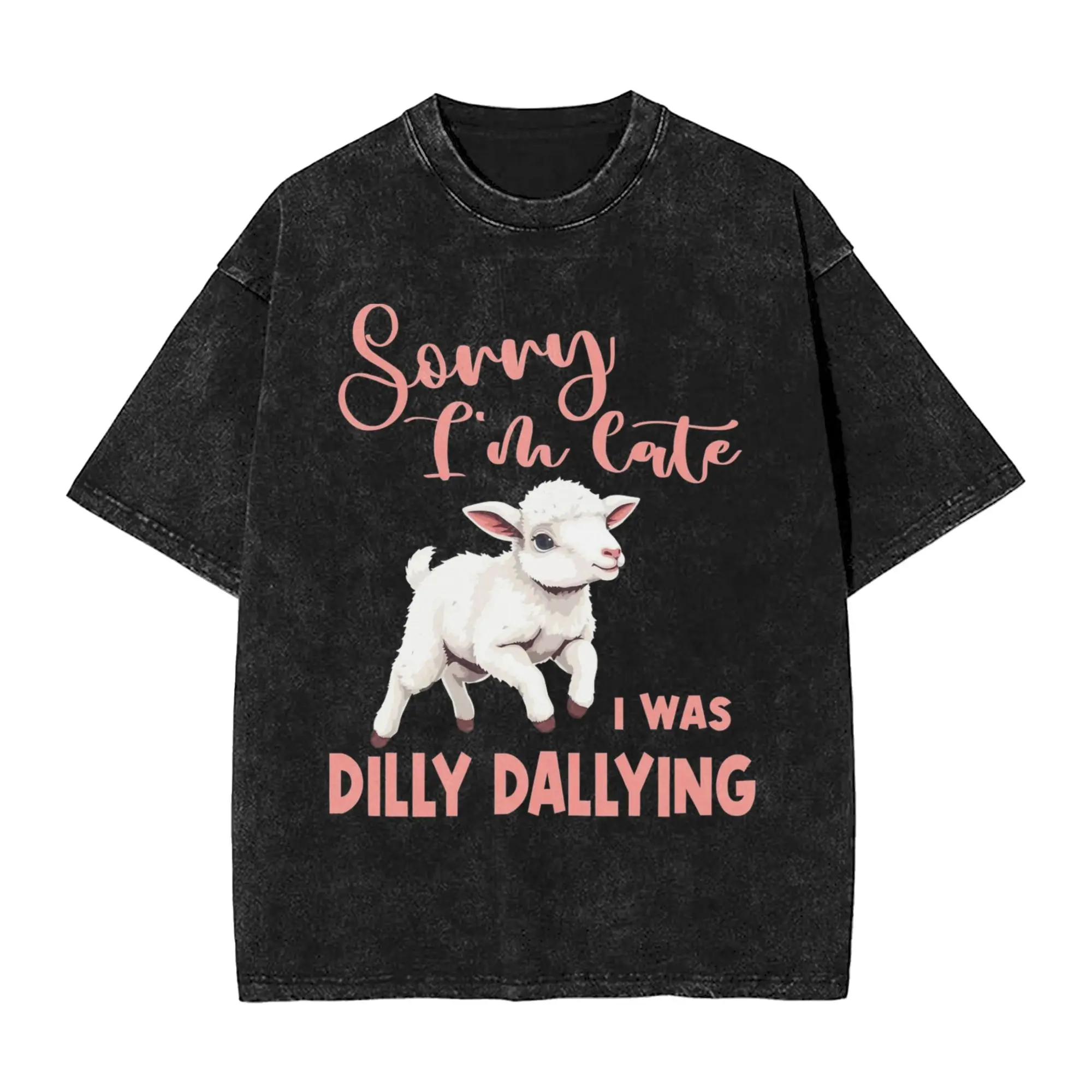 Sorry I'm Late I Was Dilly Dallying Washed T Shirts Streetwear Hip Hop T-Shirts  Tee Shirt for Men Women 100% Cotton Harajuku