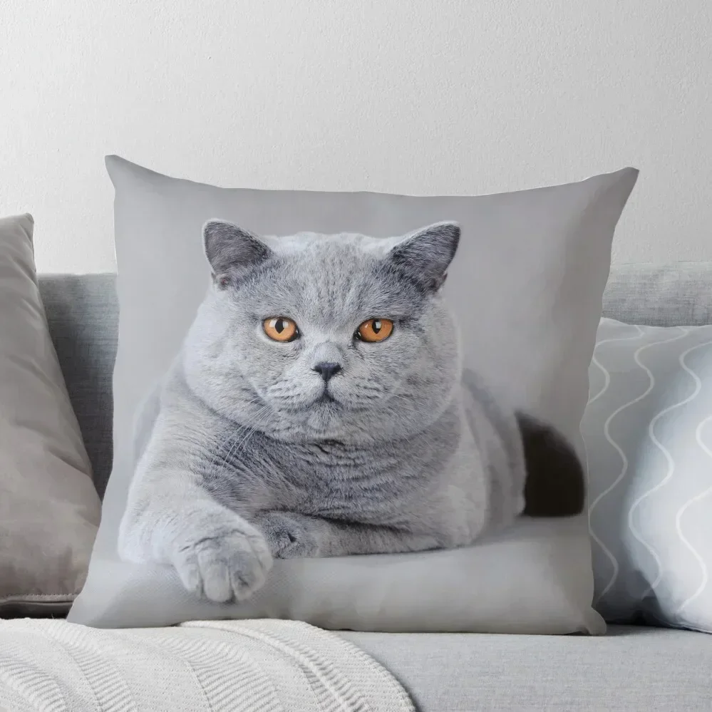 British shorthair cat portrait Throw Pillow Luxury Sofa Cushions Sofa Covers Pillow Case pillow