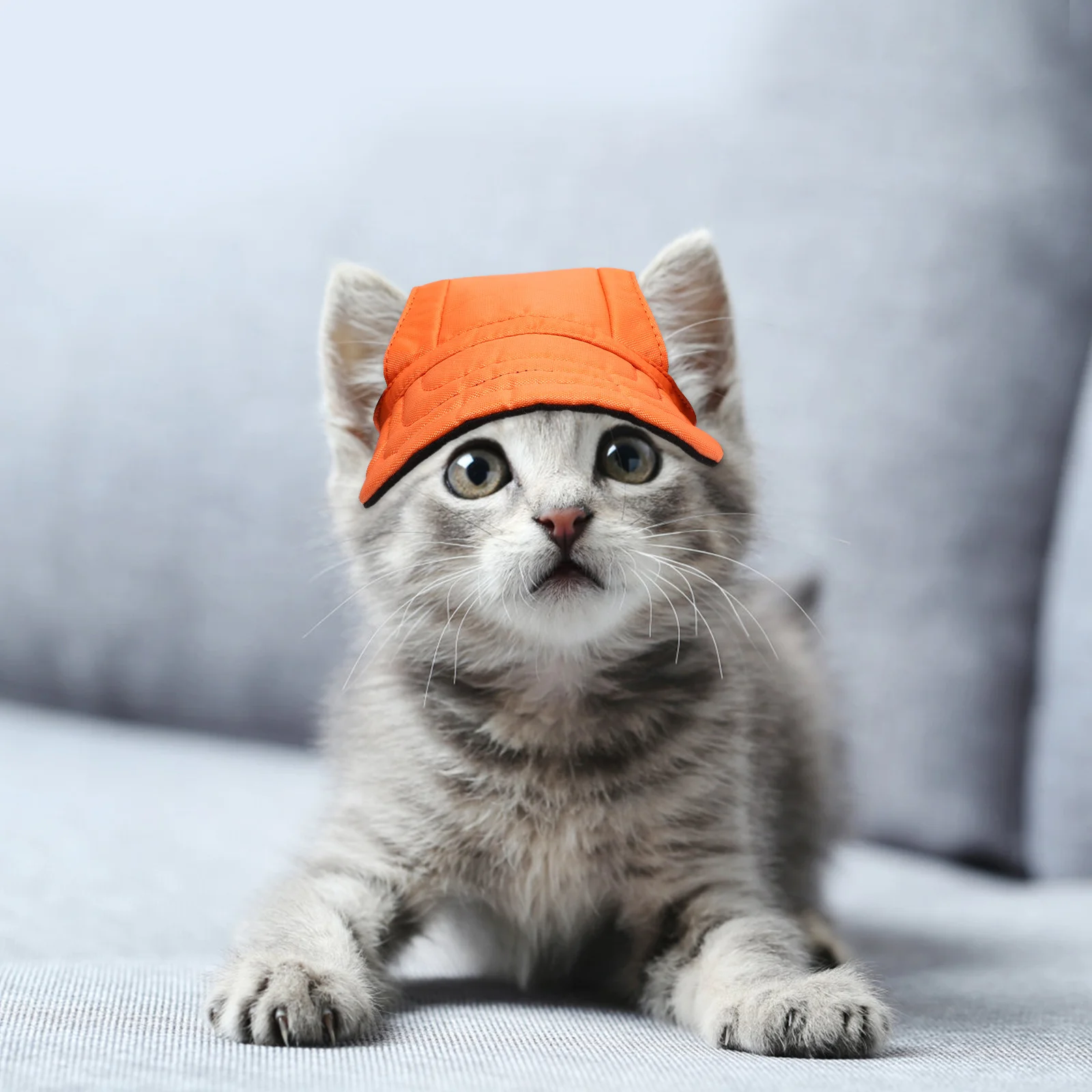 

Pet Baseball For Small Dog Cat Canvas Sun Protection Outdoor Shade Ear Holes Summer Travel Beach Party Dog Sun Hat Pet Hat