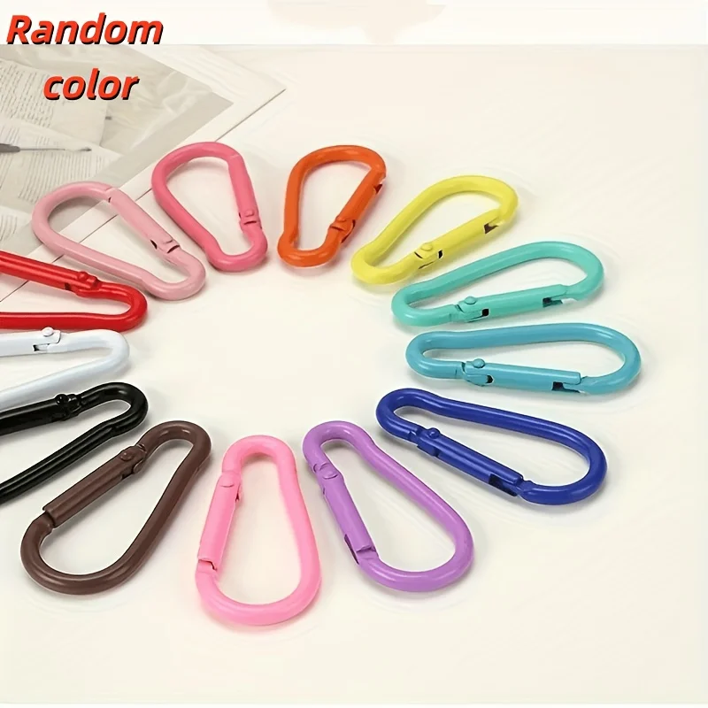 Multicolor Key Charms and Keychains Spring Clips Set