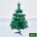 0.6M Pine 24Heads