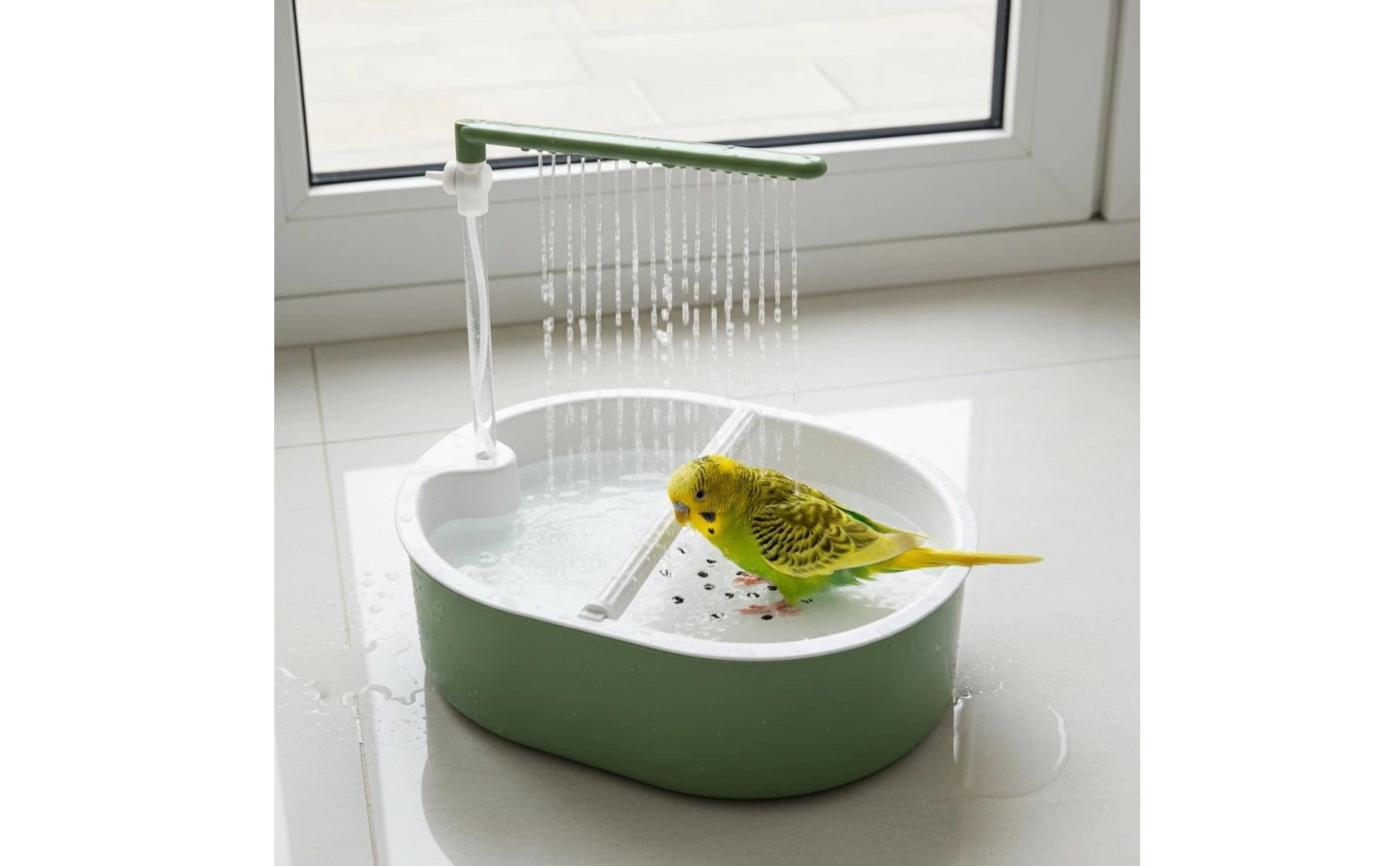 Parrot Bath Basin Green and White Bird Shower Bath Parrot Bathtub Plastic Pet Accessory Transparent