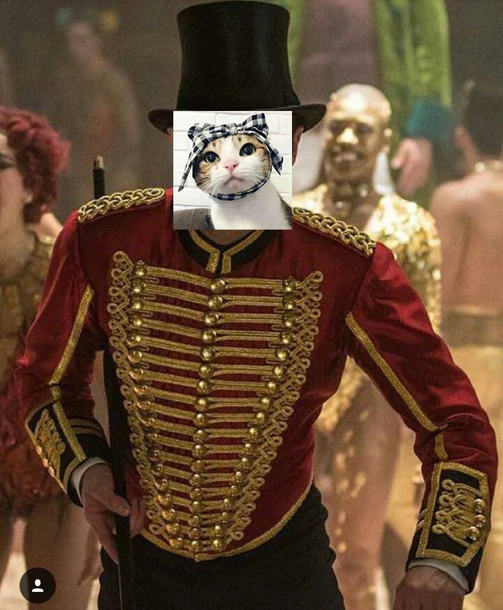 

Musical Film The Greatest Showman Cosplay Phillip Carlyle Costume Men Elizabethan Renaissance Jacket Outfit Stage Halloween Suit