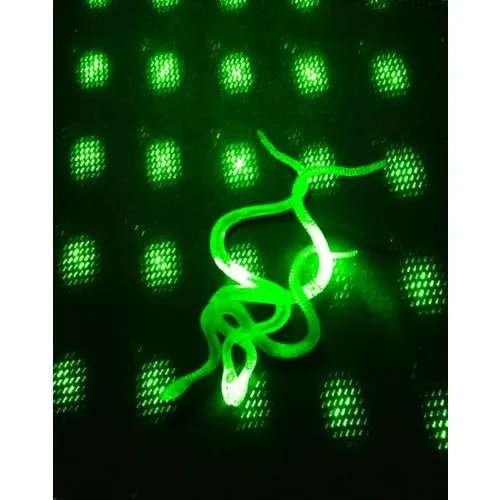 Glow in the dark Fluorescent Snake 13 cm 1 Pcs