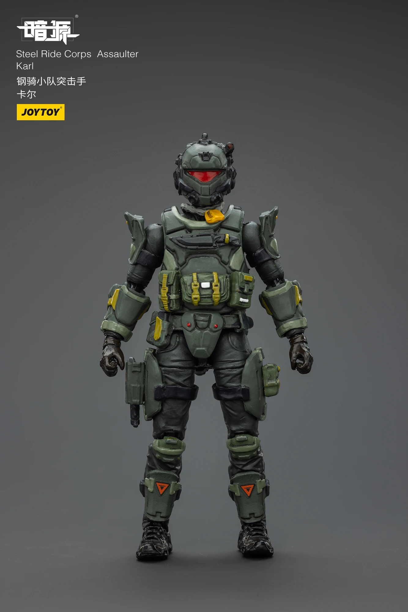

JOYTOY Dark Source Steel Ride Corps Assaulter Karl Action Figures Doll Collection Gift Decoration Original Model Collect Toys
