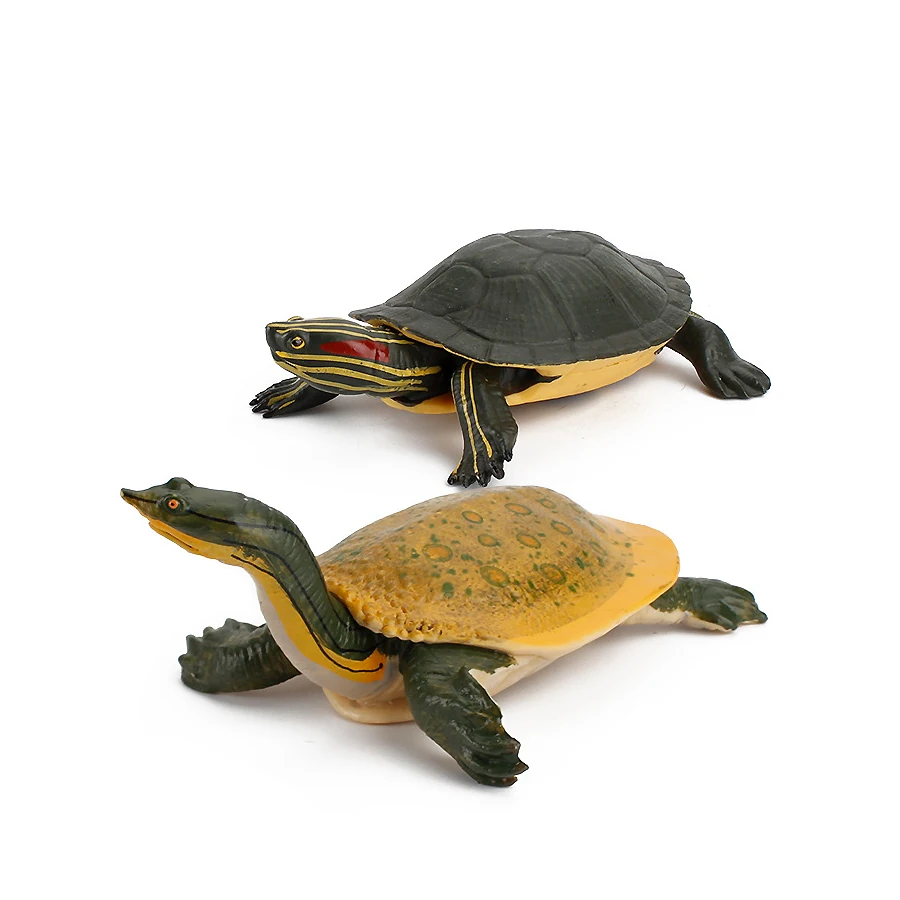 Simulasi Penyu Kulit Lunak Cina, Penyu Penggigit, Kura-kura, Model Hewan Laut, Mainan Edukasi, Figur untuk Anak-anak