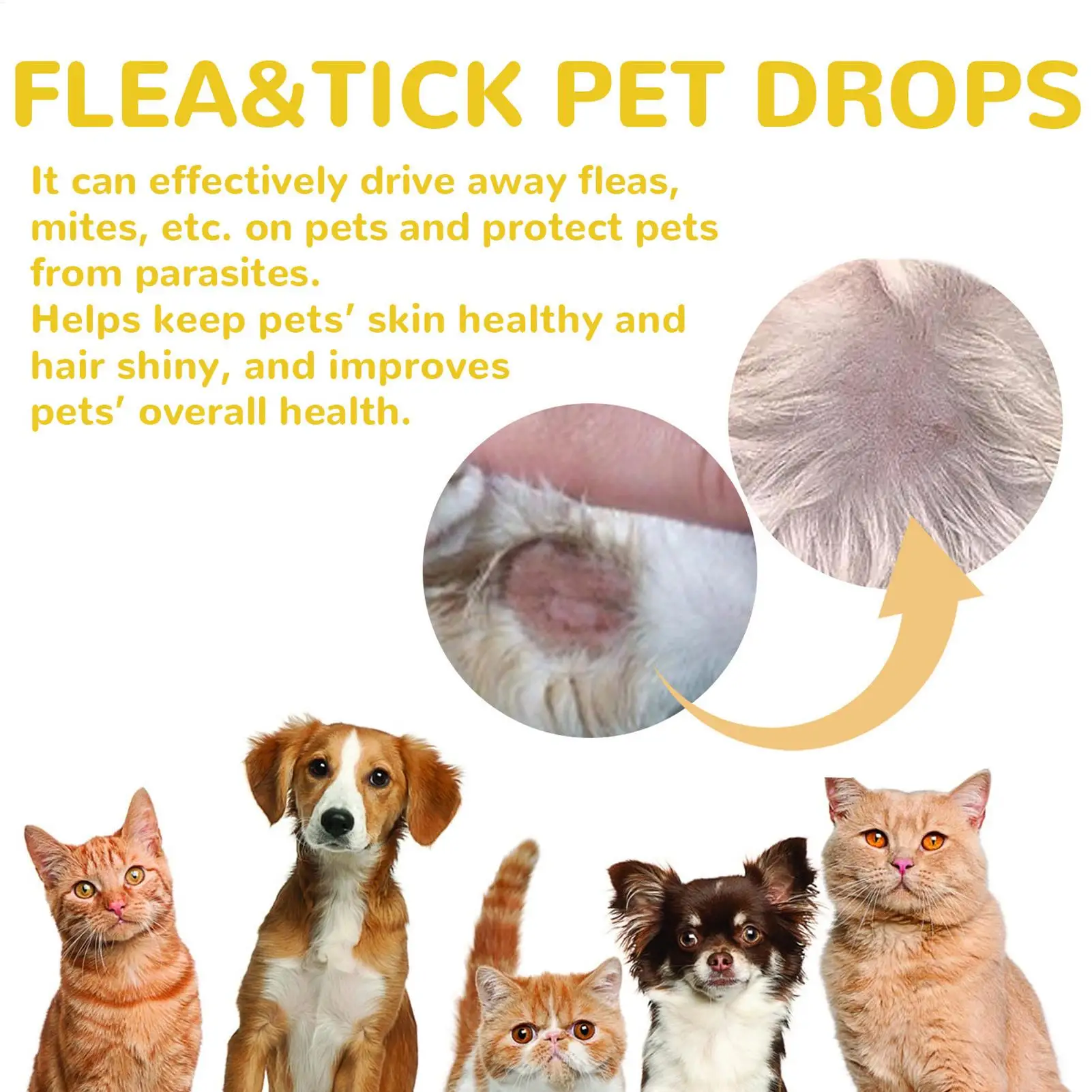 Pet Tick Spray Long Lasting Tick Removal Tool Pet External Drops Comfortable Tick Liquid, Natural Pet Care Spray for Cats, Dogs