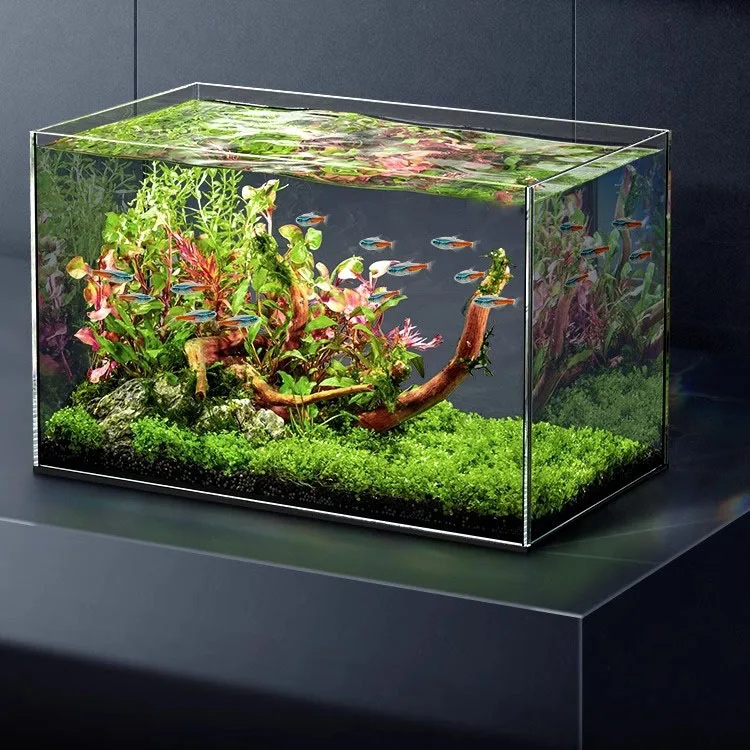 

Супер белый аквариум для рабочего стола для гостиной, экологический боевой рыб, аквариум для золотых рыбок, ландшафтный дизайн, аквариум для растений DWA010024