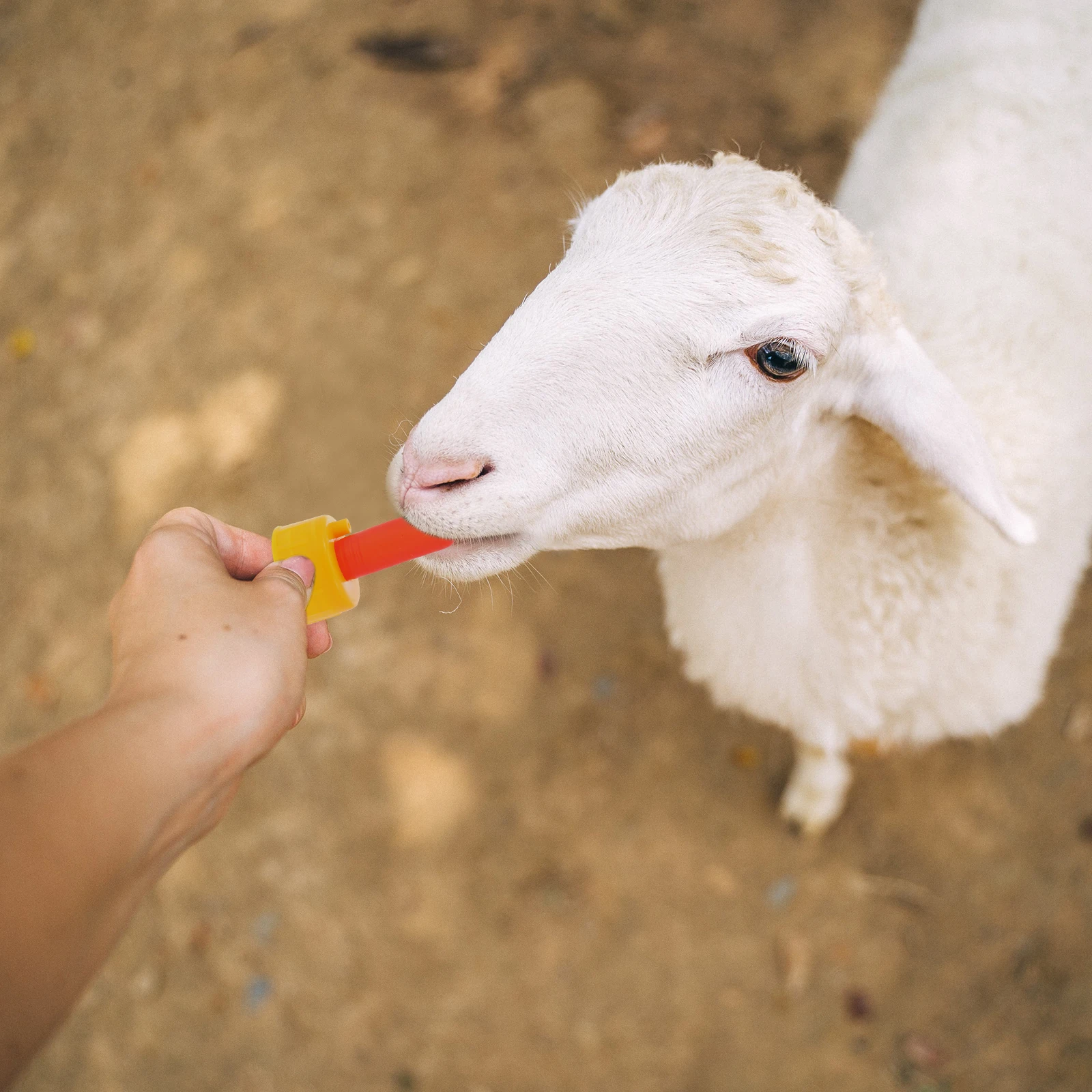 

10pcs Animal Nursing Bottle Nipple Silicone Sheep Goat Piglet Calf Teat Durable Easy Clean Livestock Feeding Tools Pet Supplies