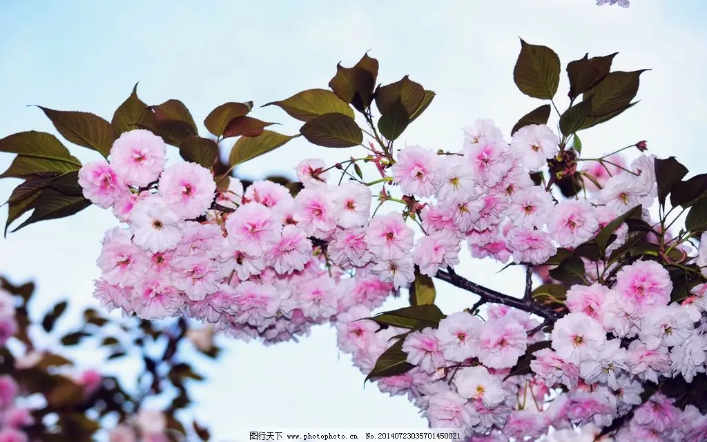 

Комплект из 4 алюминиевых колес и шин 1,3 дюйма для TRX4M, SCX24, FCX24, AX24, FCX18, Ascent18, FMS LC80, Hilux 1/18, 1/24 RC Crawler (для тюнинга)