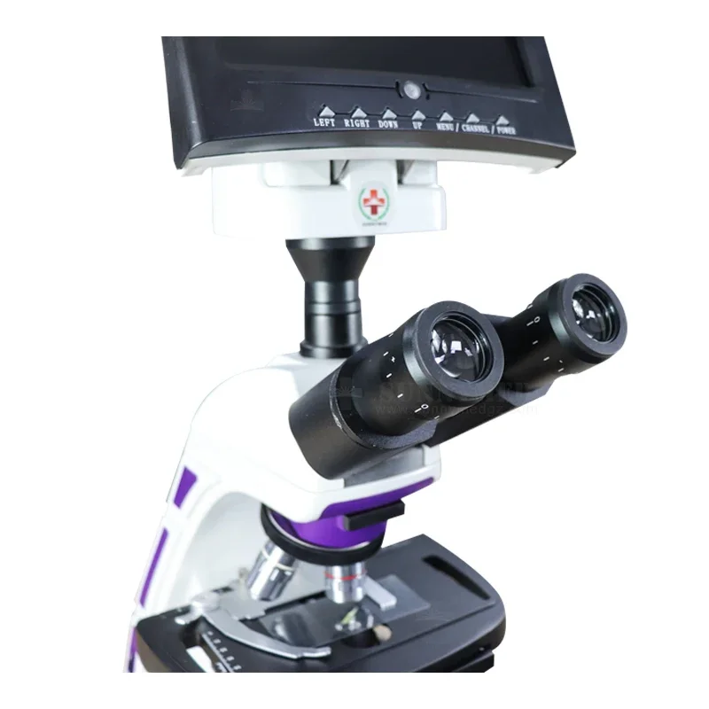 SY-B129T best selling digital Video Microscope common Medical Biological microscope with optical system