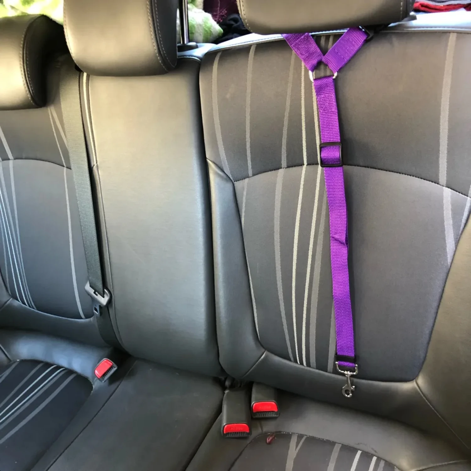 New Secure, Adjustable, Comfortable Nylon Backseat Safety Harness Collar: Essential and Versatile Pet Accessory for Ensuring You