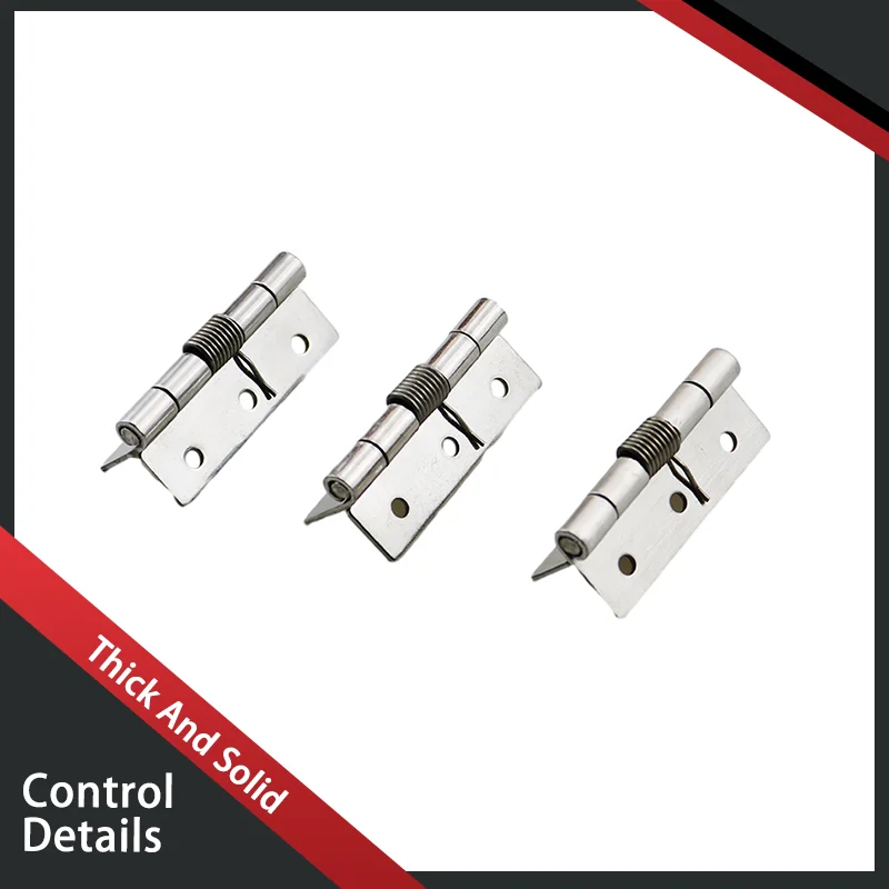 Multi Specification 304 Stainless Steel Spring Hinge Industrial Equipment Automatic Return Commercial Industrial