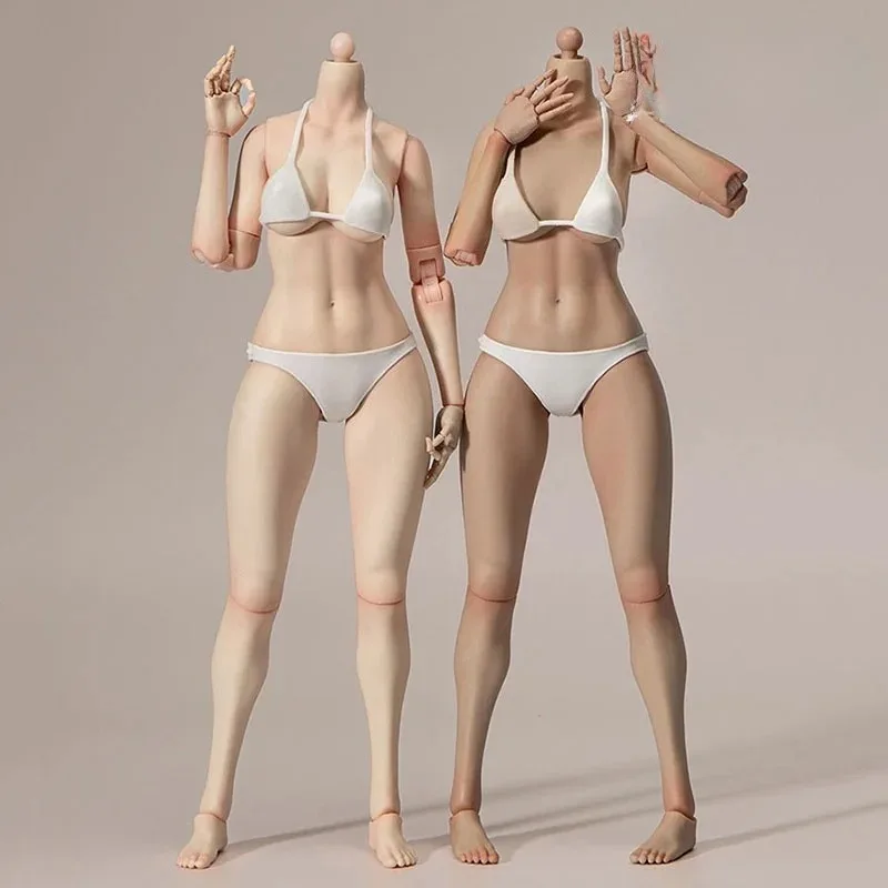 

EC3027 EC3028 1/6 Красота Узкое плечевое соединение Корпус 12-дюймовый полный шарнир Мобильность Белый свет Пшеничная фигурка Куклы Тело