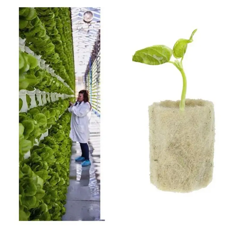 Bloques de Lana de Roca para Cultivo Hidropónico, 50/100 Piezas, Esponja para Plantación en Jardín, Sustrato para Cultivo sin Tierra, 27*20mm
