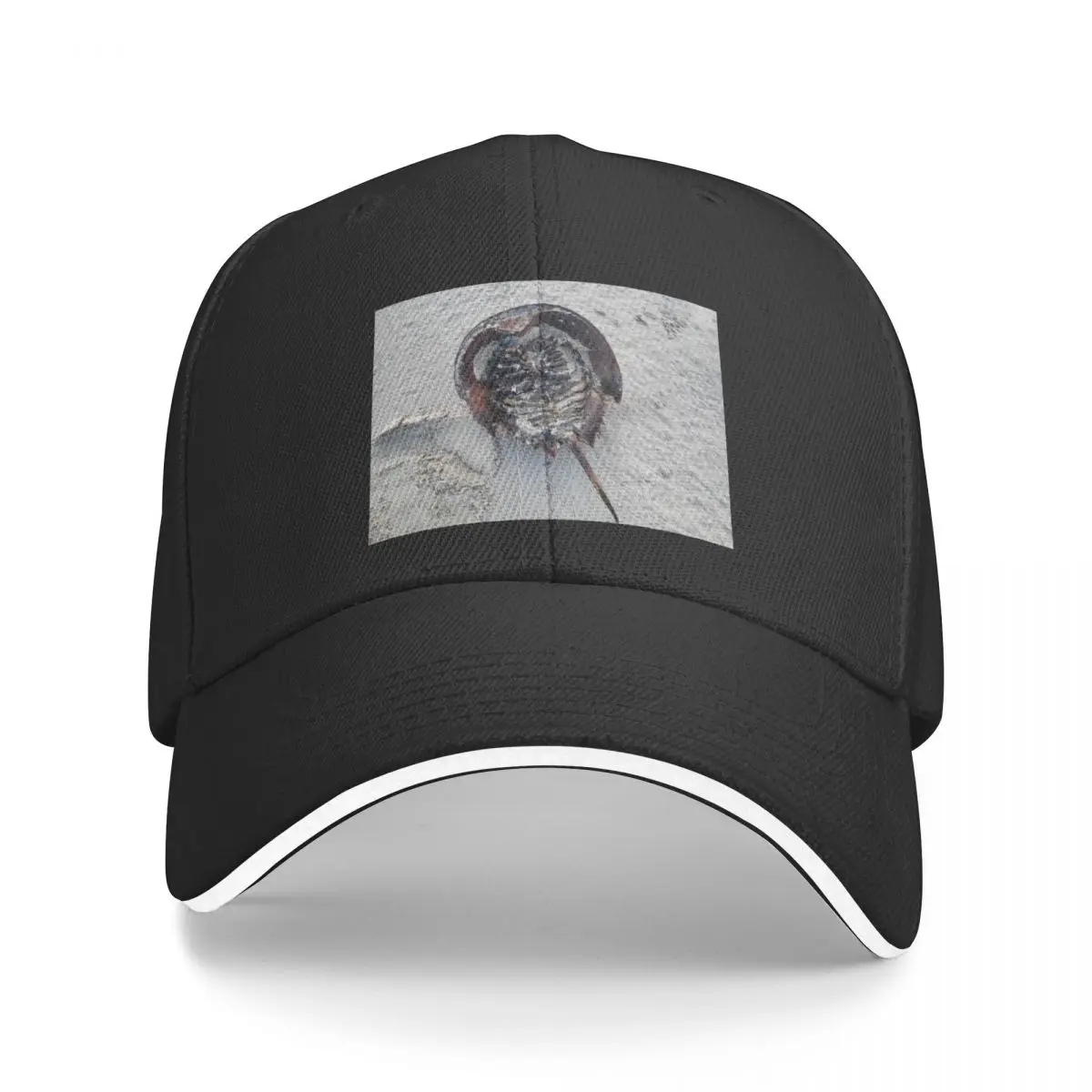 horseshoe crab Baseball Cap Anime Golf Wear Men's Caps Women's