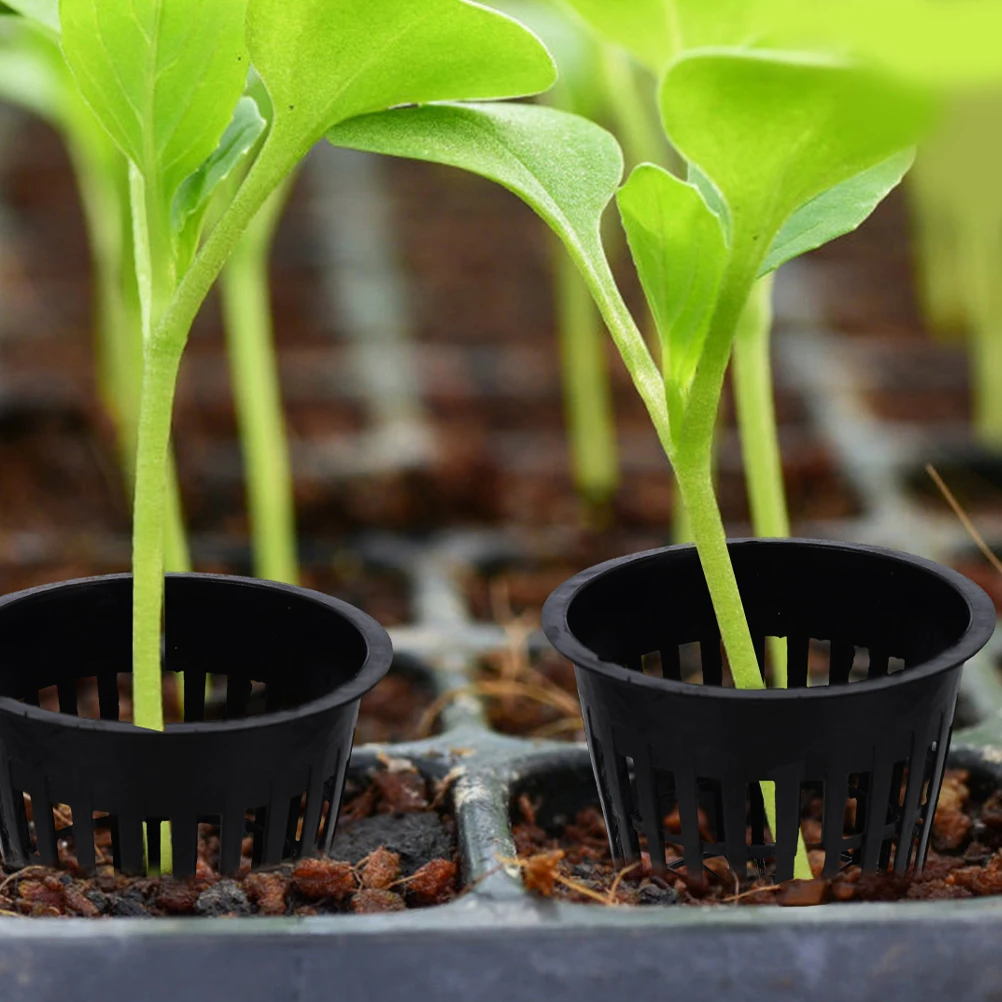 

5pcs Hydroponic Planting Baskets 2 Inch Plastic Mesh Net Cups for Aquaponics Systems Vegetable Grow Containers Promoting Root