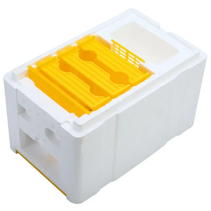 

Bee Hive Beekeeping King Box Pollination Box Foam Frames Beekeeping Tool Kit beekeeping tools