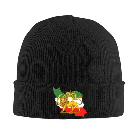 Chapeaux beanie vintage avec emblème du lion et du soleil du drapeau iranien, héritage persan, chapeaux de style décontracté pour hommes, bonnets d'extérieur