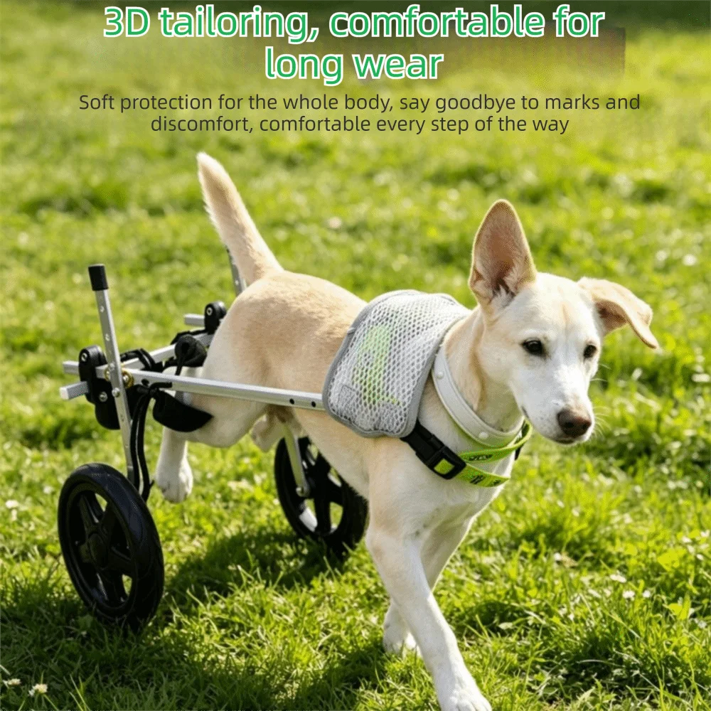 Fauteuil roulant réglable pour chien, harnais confortable et respirant, chariot de rééducation pour animaux, support pour pattes arrière, aide à la marche durable pour animaux handicapés