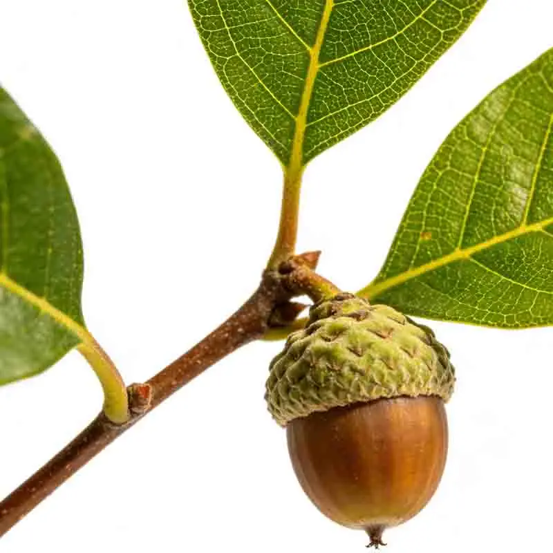 

Hobbywing SeaKing V3 Водонепроницаемый регулятор скорости (ESC) 30A/60A/90A/120A/130A/180A 2-6S Lipo для радиоуправляемых лодок