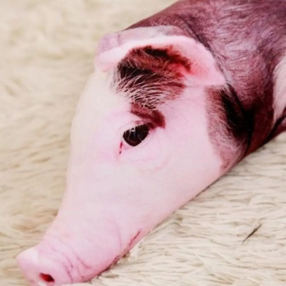 Pet Lover Gift 3D Printing Pig Stuffed Pillow Simulated Realistic Pig 50cm 70cm Sofa Bedroom Pig Cushion Home Decor